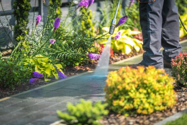 Best House Exterior Washing  in Kimberly, WI